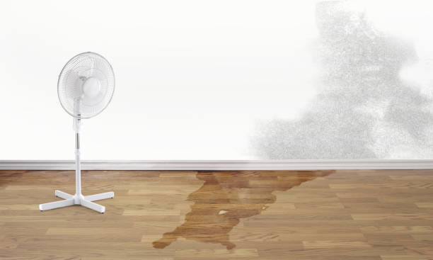 Best Carpet water damage restoration  in Northchase, NC