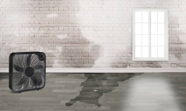 Best Emergency water damage restoration  in Northchase, NC