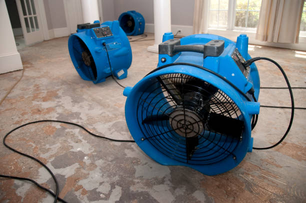 Best Carpet water damage restoration  in Northchase, NC