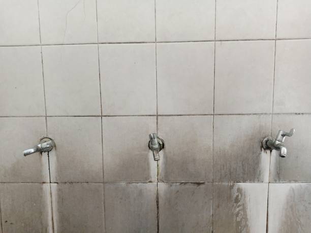 Best Water damage restoration cost  in Northchase, NC