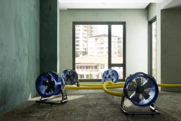 Best Water damage cleanup near me  in Northchase, NC